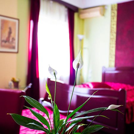 B&B Vila Tamaris Zaječar Exterior foto