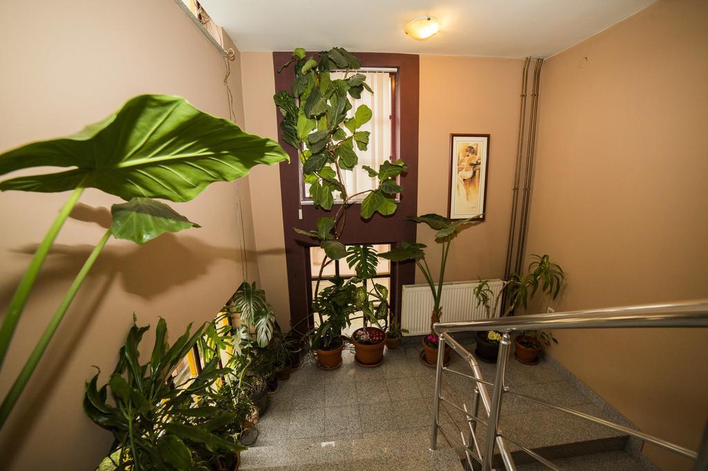 B&B Vila Tamaris Zaječar Exterior foto